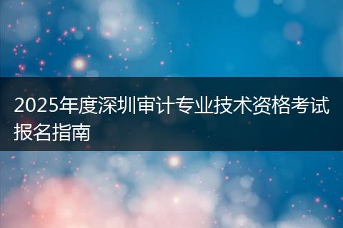 2025年度深圳审计专业技术资格考试报名指南
