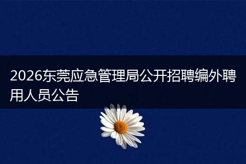 2026东莞应急管理局公开招聘编外聘用人员公告