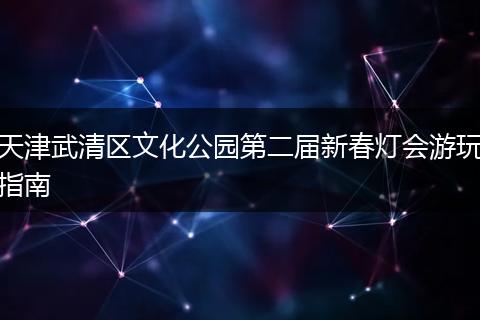 天津武清区文化公园第二届新春灯会游玩指南
