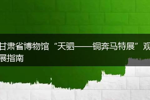 甘肃省博物馆“天驷——铜奔马特展”观展指南