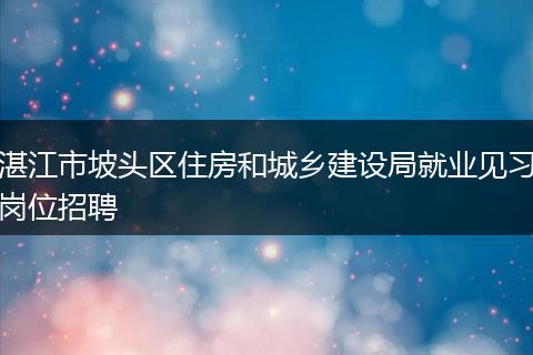 湛江市坡头区住房和城乡建设局就业见习岗位招聘