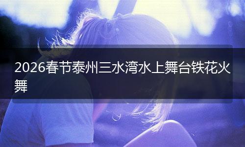 2026春节泰州三水湾水上舞台铁花火舞
