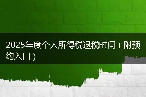 2025年度个人所得税退税时间（附预约入口）