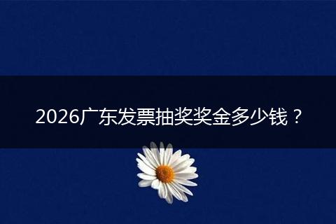 2026广东发票抽奖奖金多少钱？