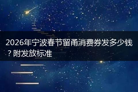 2026年宁波春节留甬消费券发多少钱？附发放标准