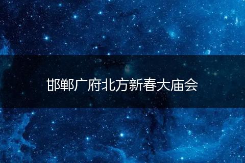 邯郸广府北方新春大庙会
