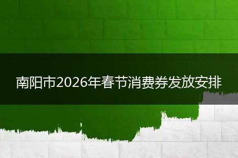 南阳市2026年春节消费券发放安排