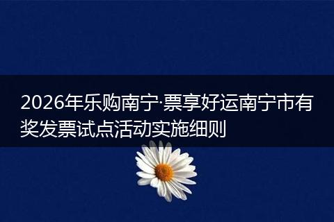 2026年乐购南宁·票享好运南宁市有奖发票试点活动实施细则