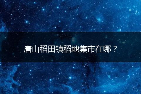 唐山稻田镇稻地集市在哪？