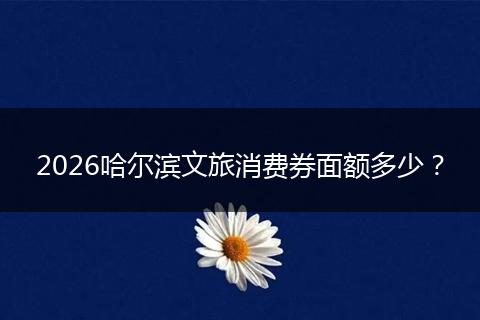 2026哈尔滨文旅消费券面额多少？