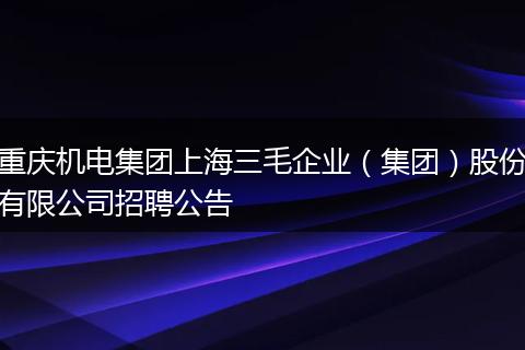 重庆机电集团上海三毛企业（集团）股份有限公司招聘公告