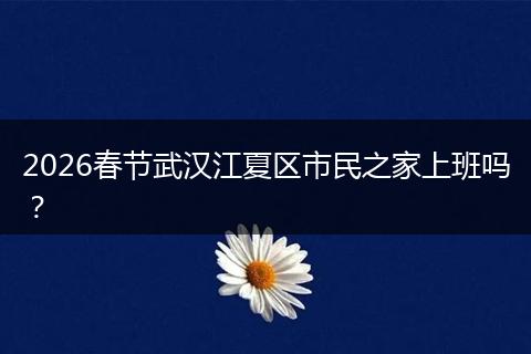 2026春节武汉江夏区市民之家上班吗？