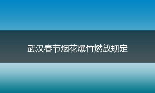 武汉春节烟花爆竹燃放规定
