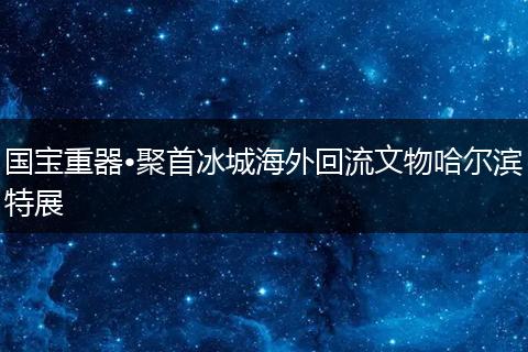 国宝重器•聚首冰城海外回流文物哈尔滨特展