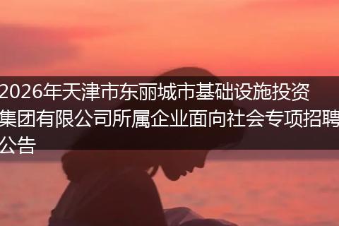2026年天津市东丽城市基础设施投资集团有限公司所属企业面向社会专项招聘公告