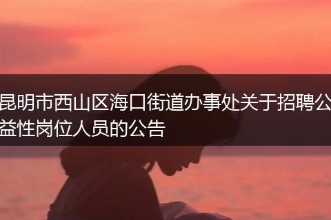 昆明市西山区海口街道办事处关于招聘公益性岗位人员的公告