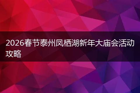 2026春节泰州凤栖湖新年大庙会活动攻略
