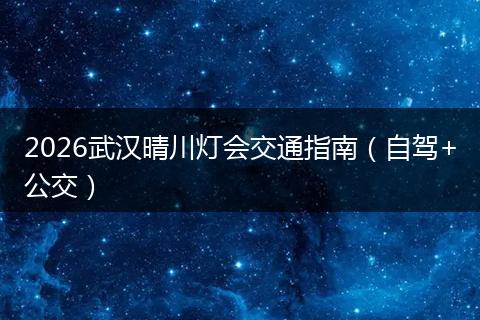 2026武汉晴川灯会交通指南（自驾+公交）