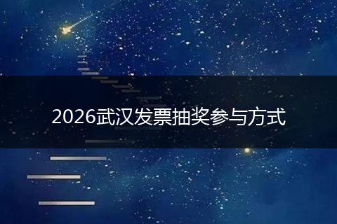 2026武汉发票抽奖参与方式