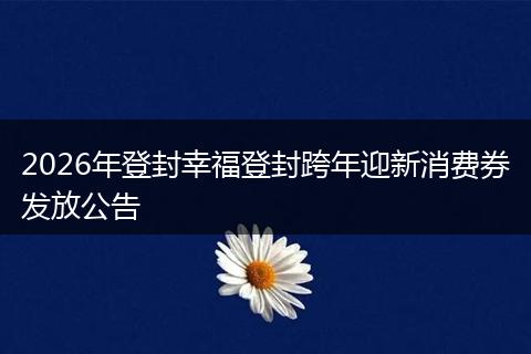 2026年登封幸福登封跨年迎新消费券发放公告
