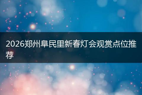 2026郑州阜民里新春灯会观赏点位推荐