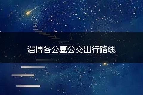 淄博各公墓公交出行路线