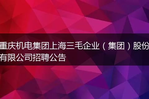 重庆机电集团上海三毛企业（集团）股份有限公司招聘公告
