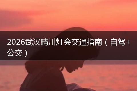 2026武汉晴川灯会交通指南（自驾+公交）