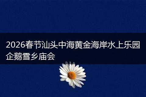 2026春节汕头中海黄金海岸水上乐园企鹅雪乡庙会