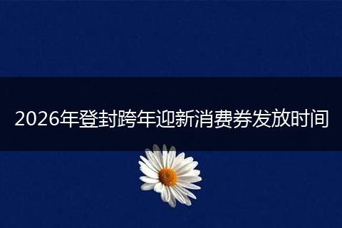 2026年登封跨年迎新消费券发放时间