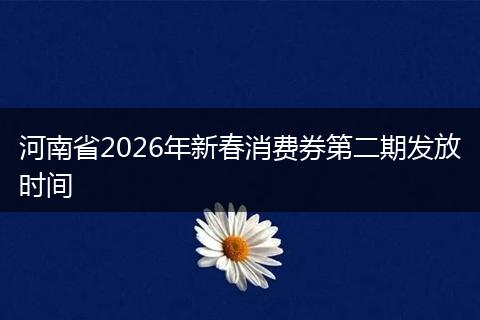 河南省2026年新春消费券第二期发放时间