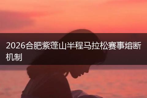 2026合肥紫蓬山半程马拉松赛事熔断机制