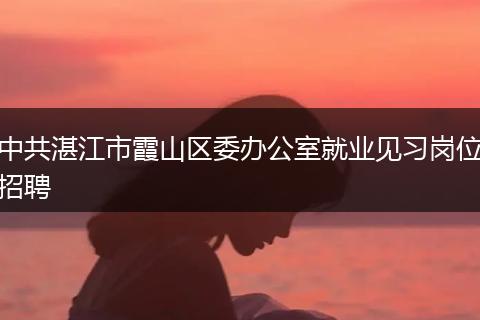 中共湛江市霞山区委办公室就业见习岗位招聘