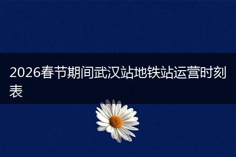 2026春节期间武汉站地铁站运营时刻表