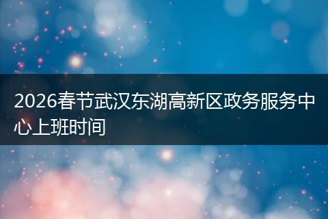 2026春节武汉东湖高新区政务服务中心上班时间
