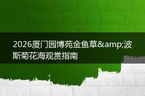 2026厦门园博苑金鱼草&波斯菊花海观赏指南