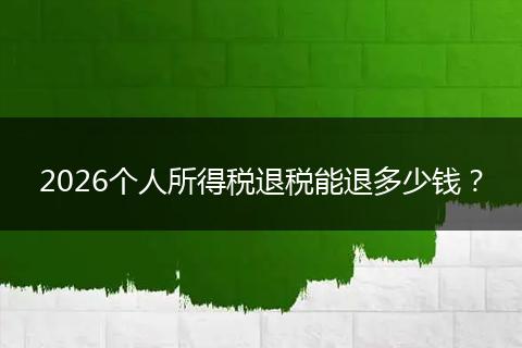 2026个人所得税退税能退多少钱？