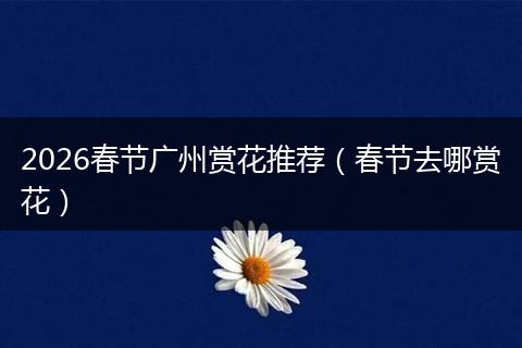 2026春节广州赏花推荐（春节去哪赏花）