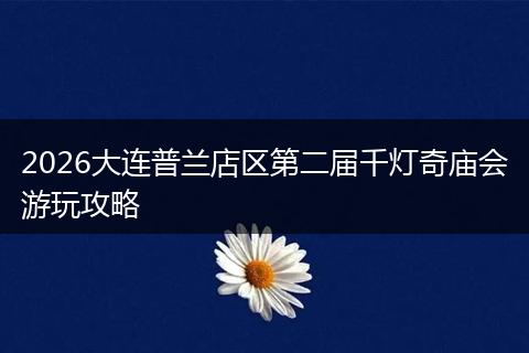 2026大连普兰店区第二届千灯奇庙会游玩攻略