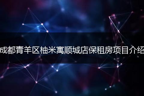 成都青羊区柚米寓顺城店保租房项目介绍