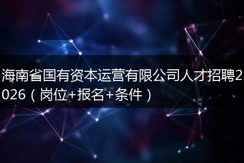 海南省国有资本运营有限公司人才招聘2026（岗位+报名+条件）