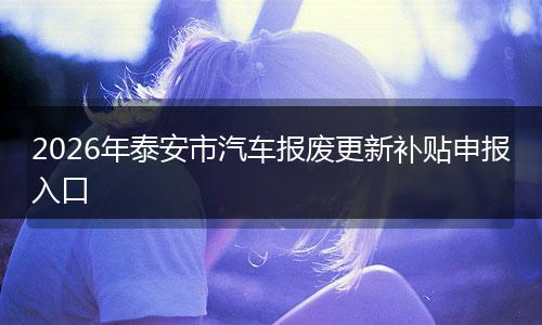 2026年泰安市汽车报废更新补贴申报入口