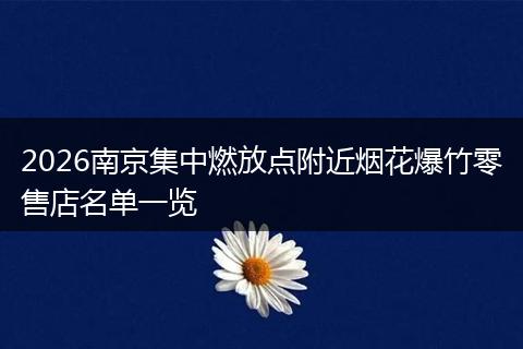 2026南京集中燃放点附近烟花爆竹零售店名单一览