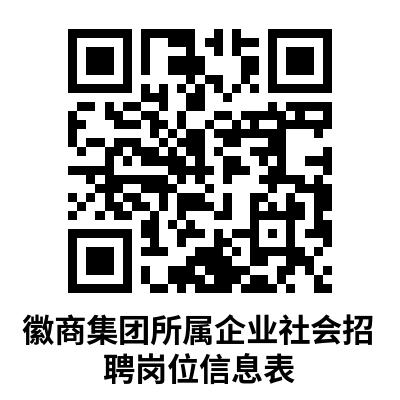 2026安徽省徽商集团有限公司所属企业招聘公告
