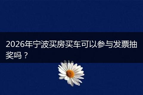 2026年宁波买房买车可以参与发票抽奖吗？