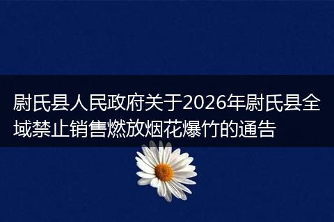 尉氏县人民政府关于2026年尉氏县全域禁止销售燃放烟花爆竹的通告