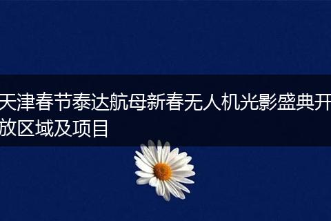 天津春节泰达航母新春无人机光影盛典开放区域及项目
