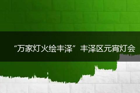 “万家灯火绘丰泽”丰泽区元宵灯会