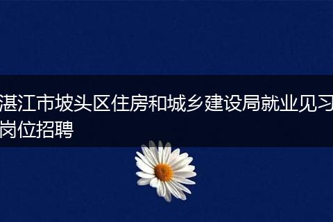 湛江市坡头区住房和城乡建设局就业见习岗位招聘