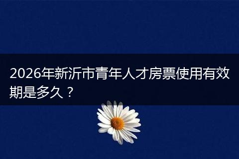 2026年新沂市青年人才房票使用有效期是多久？